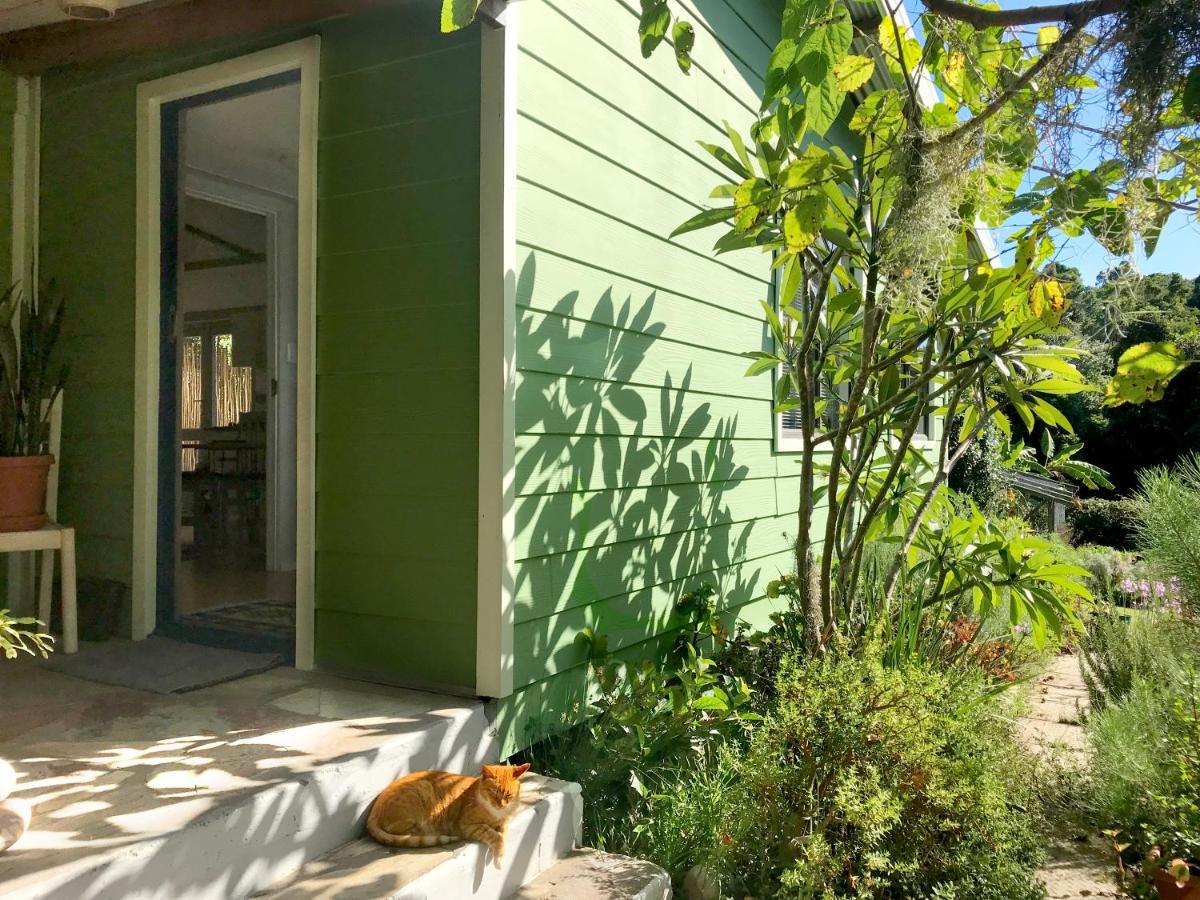 Loeriewood Garden Apartment, Hunters Home クニスナ エクステリア 写真